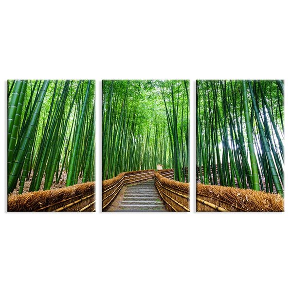 Kit 3 Telas Decorativas Caminho Bambu