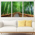Kit 3 Telas Decorativas Caminho Bambu
