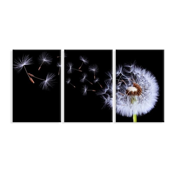 Kit 3 Telas Decorativas Dente-de-leão Noite