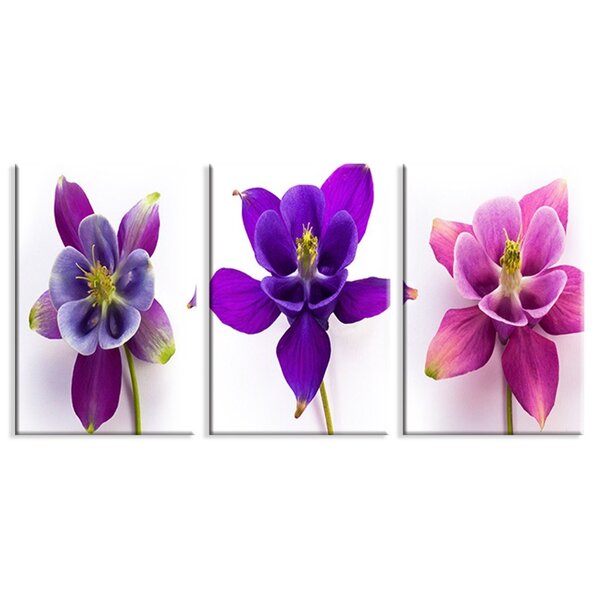 Kit 3 Telas Decorativas Flores Tons Rosa E Roxo