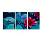 Kit 3 Telas Decorativas Vitória-régia