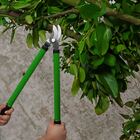 Kit 3 Tesouras Poda Jardim Cerca Viva Jardinagem Tcut3 Trato