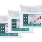 Kit 3 Travesseiros Altenburg Suporte Médio Silk Touch Para Qu