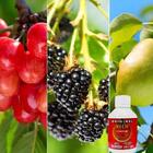 Kit 3 Unidades De 100 Ml Puro Neen Óleo Natural Anti Pragas