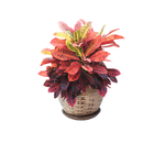 Kit 3 Vasos De Porcelana Redondo Marrom Com Flores