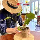 Kit 3 Vasos Fibra Biodegradável Bege Nagmobio