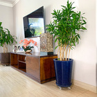 Kit 3 Vasos para Plantas em Polietileno Decorativo Azul