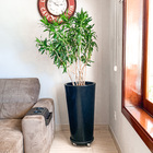 Kit 3 Vasos para Plantas em Polietileno Decorativo Preto