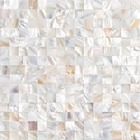 Kit 44 Placas - Pastilhas De Madrepérola Champagne