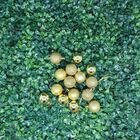 Kit 45 Mini Bolas Natal Dourada Glitter, Fosca, Lisa 3cm - Ma