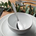 Kit - 48 Colheres De Sobremesa Luxo Laguna Em Aço Inox Csitop