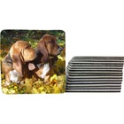 Kit 4 Apoio Para Copos Personalizado Com O Cãozinho Presente