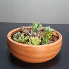 Kit 4 Bacias Para Suculenta 33x10cm Cor Tabaco Envelhecido