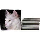 Kit 4 Bolacha Para Chopp Coleção Linda Com Gatos E Gatas Quad