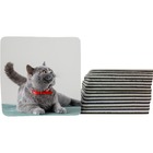 Kit 4 Bolacha Para Chopp Coleção Linda Com Gatos E Gatas Quad