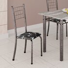 Kit 4 Cadeiras Tubular Dany 95x37x40 Cm Preto /mart Prata