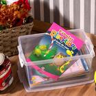 Kit 4 Caixas Organizadora 4l Com Travas E Alças Laterais Bel