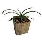 Kit 4 Galhos De Folhagem Verde Orquídea Cymbidium Artificial