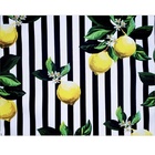 Kit 4 Jogos Americanos Limão Siciliano Da Charlô 43cmx34cm