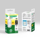 Kit 4 Lâmpadas Led Bulbo Tkl 17w Taschibra E27 Bivolt 3000k L