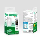 Kit 4 Lâmpadas Led Bulbo Tkl 17w Taschibra E27 Bivolt 4000k L