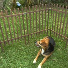 Kit 4 Metros Cerca De Madeira 50x80 Resistente Ao Tempo