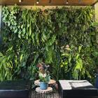 Kit 4 Módulos Greenplast De 50 Cm