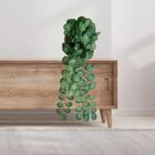 Kit 4 Pendentes De Folhagens Artificiais Verdes Para Decoraçã