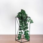 Kit 4 Pendentes De Folhagens De  Melancia Artificiais Verdes