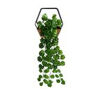 Kit 4 Pendentes De Folhagens De Begônia Variegata Artificiais