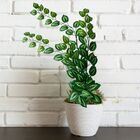 Kit 4 Pendentes De Folhagens De Jiboia Artificiais Verdes Par