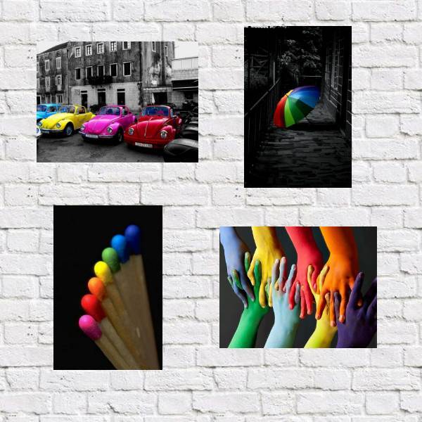 Kit 4 Placas Decorativas Fotos Coloridas 18x27cm