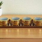 Kit 4 Porta Temperos Condimento Magnetico Colorido Inox Imã D