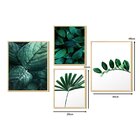 Kit 4 Quadros Com Moldura Plantas Folhagens Escritório Sala