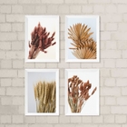 Kit 4 Quadros Decorativos Folhas E Flores secas 33x24cm - Com