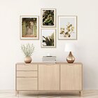 Kit 4 Quadros Decorativos Paisagem Vintage Verde Folhagens