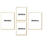 Kit 4 Quadros Decorativos Passaro Azul Papagaio Folhagens Abs