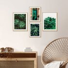 Kit 4 Quadros Decorativos Verde Folhagens Natureza Paspatur