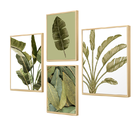 Kit 4 Quadros Decorativos Verde Plantas Folhagens