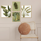 Kit 4 Quadros Decorativos Verde Plantas Folhagens