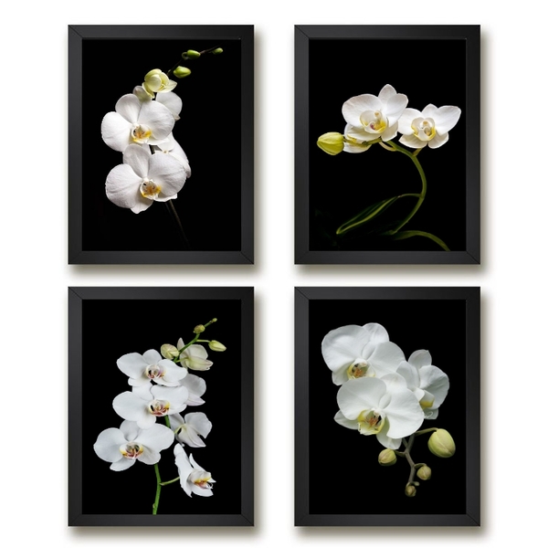 Kit 4 Quadros Florais Fotografias Orquídeas 33x24cm - Com Vid