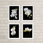 Kit 4 Quadros Florais Fotografias Orquídeas 33x24cm Moldura:m