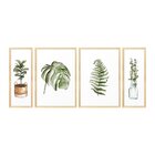 Kit 4 Quadros Para Decoração Folhagem Plantas Cozinha Sala