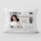 Kit 4 Travesseiros Premium Pluma De Ganso Impermeável Casen