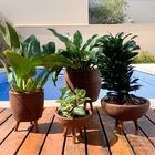 Kit 4 Vasos Para Plantas Decoração Com Tripé Madeira Marrom