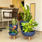 Kit 4 Vasos Para Plantas E Decoração Tripé De Madeira Azul