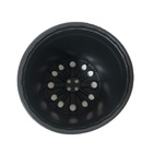 Kit 50 Pote Holambra Nº 06 Vaso Flexível Preto 5x5cm Preto