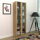 Kit 5 Armários Multiuso De Escritório Amendoa