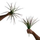 Kit 5 Buquês De Capim Artificial 39cm Para Criação De Arranjo