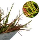 Kit 5 Buquês De Capim Artificial 39cm Para Criação De Arranjo